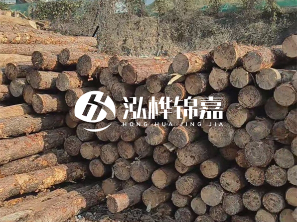 落葉松木材的主要產(chǎn)地在哪里？為什么比其他松木更耐腐蝕？