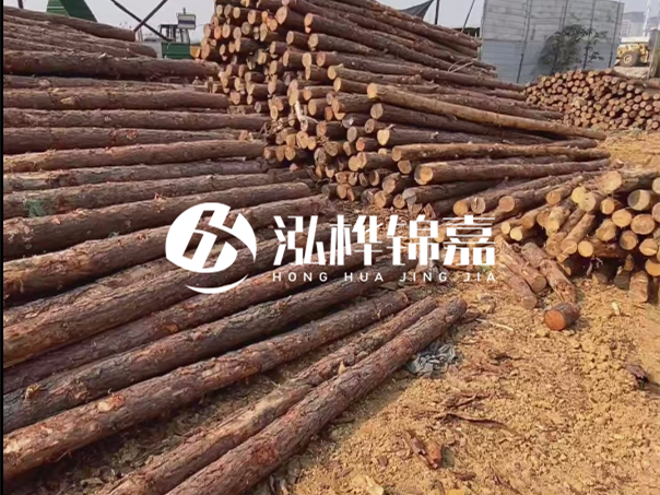 河道木樁施工遇到淤泥怎么辦？打多深才能防沖刷？