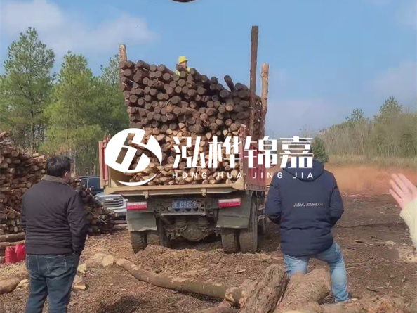 防腐木樁價格比普通木樁貴多少？防腐木樁有哪些處理方式？