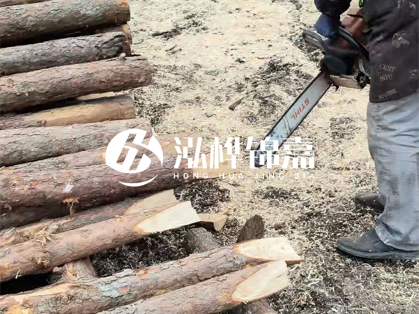 杉木樁批發(fā)廠家哪家好？產(chǎn)地直供渠道推薦！