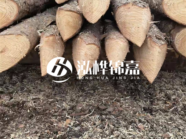 打樁木樁與鋼樁相比有哪些優(yōu)缺點(diǎn)？如何進(jìn)行后期維護(hù)？