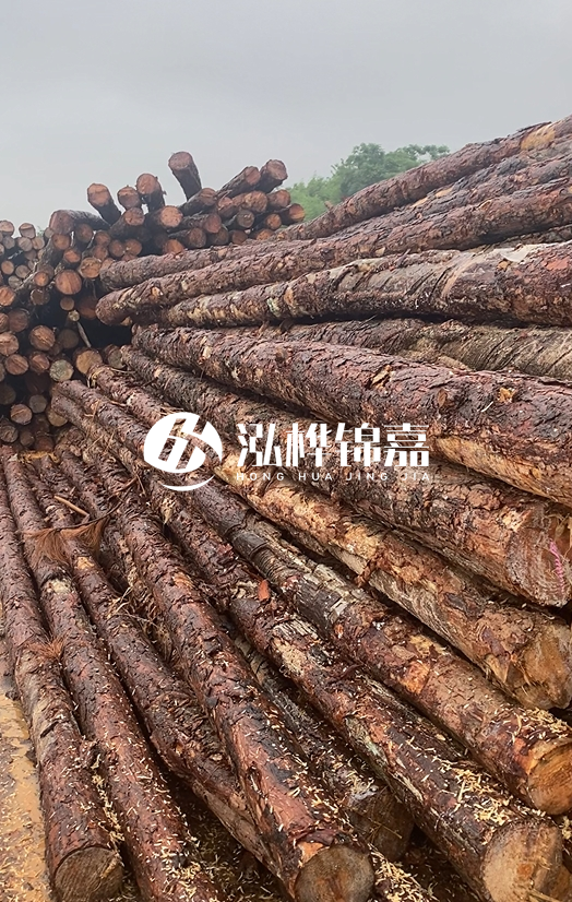 購(gòu)買(mǎi)松木樁注意事項(xiàng)有哪些-不同直徑松木樁區(qū)別有哪些？