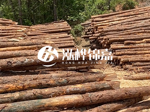 松木樁的運(yùn)輸費(fèi)用是否包含卸車費(fèi)？卸貨時(shí)需要注意哪些安全問(wèn)題？